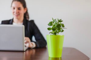 Best Office Plants for a Fresh Workspace